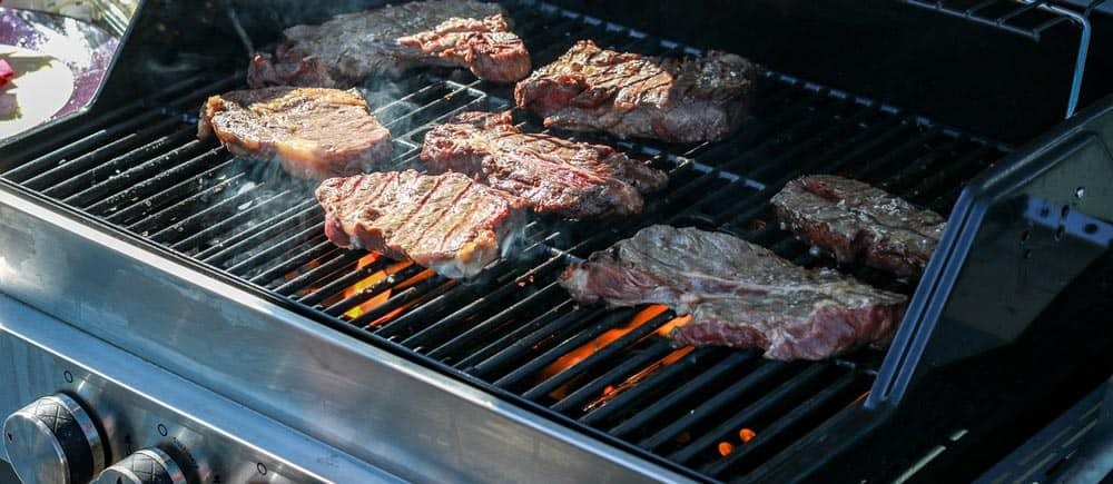 Best Portable Gas Grills Best Portable Gas Grills
