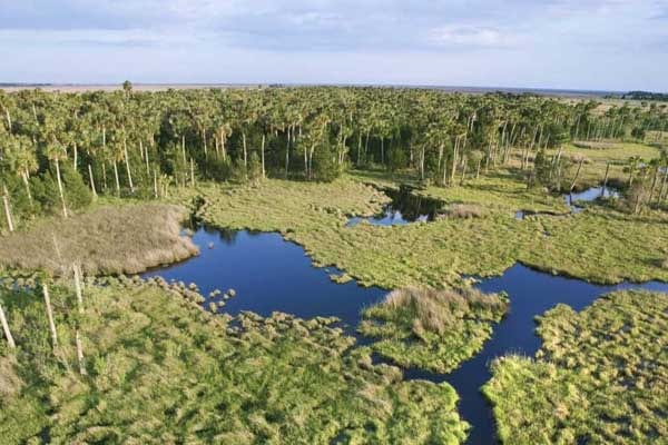 Best Camping Place In Florida Best Camping Place In Florida