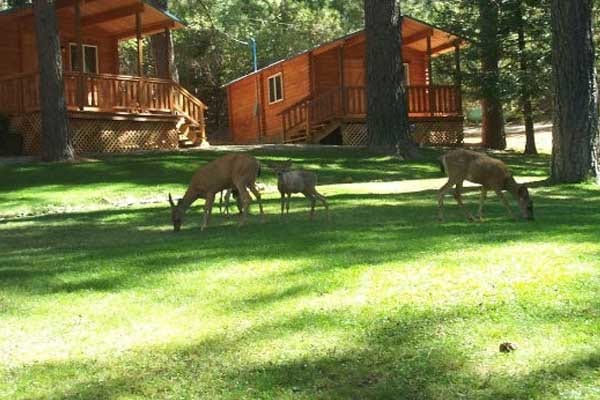 Best Camping Place In New Jersey Best Camping Place In New Jersey