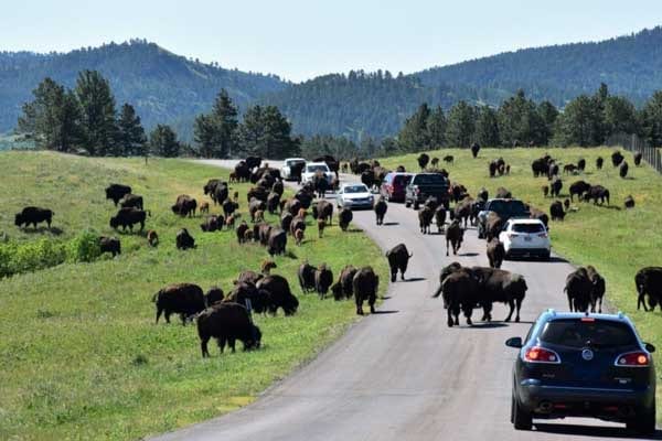 Best Camping Place in South Dakota Best Camping Place in South Dakota