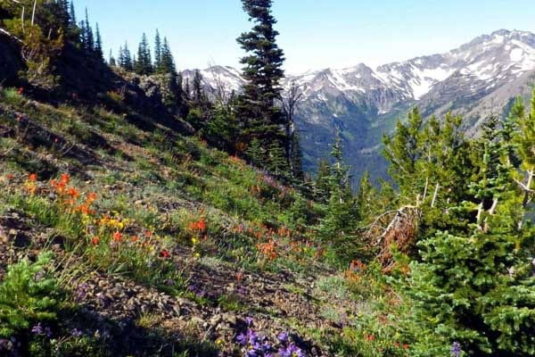 Best Camping Place In Washington Best Camping Place In Washington