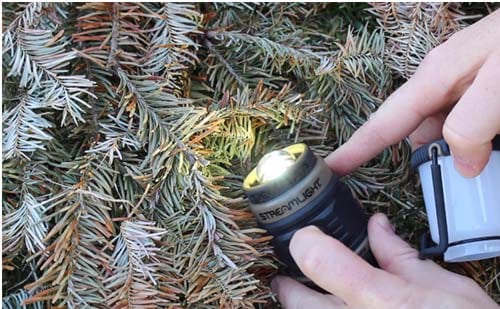 Streamlight Siege Lantern Streamlight Siege Lantern