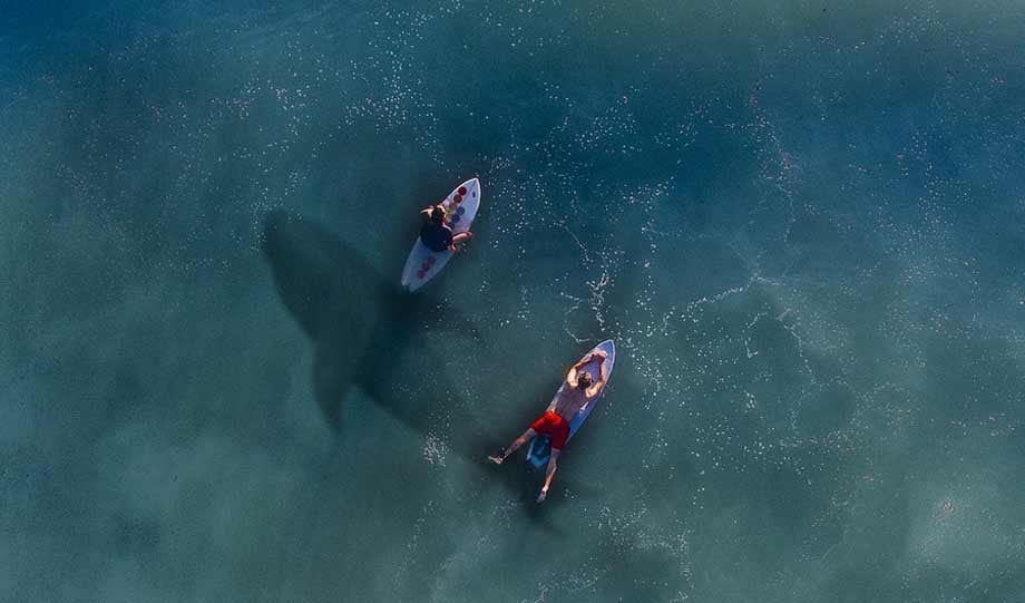 Best Inflatable Paddle Board Best Inflatable Paddle Board