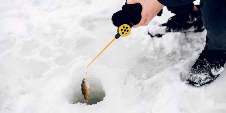 Best Ice Fishing Rod Best Ice Fishing Rod