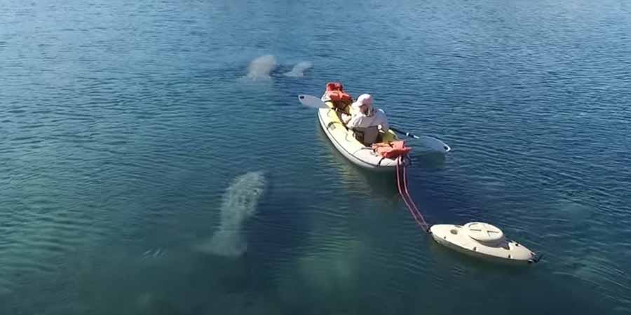 Can A Kayak Hold A Cooler?